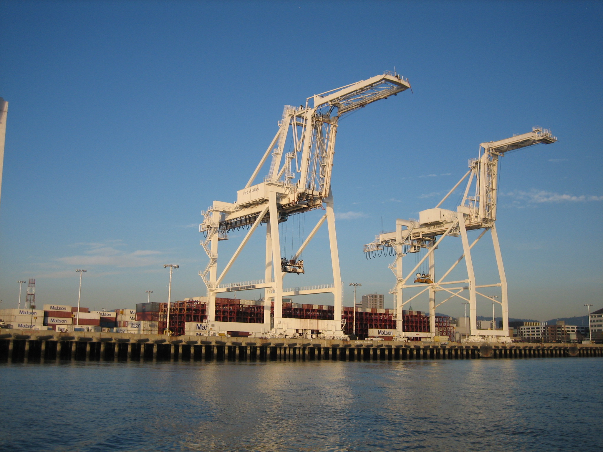 Shipping cranes