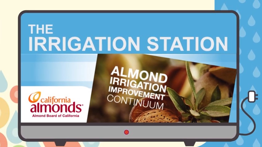 The Irrigation Station - Strategic Deficit Irrigation