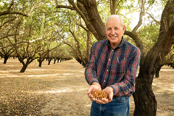 Vox Creative: Almond Farmers are Pioneering Sustainability