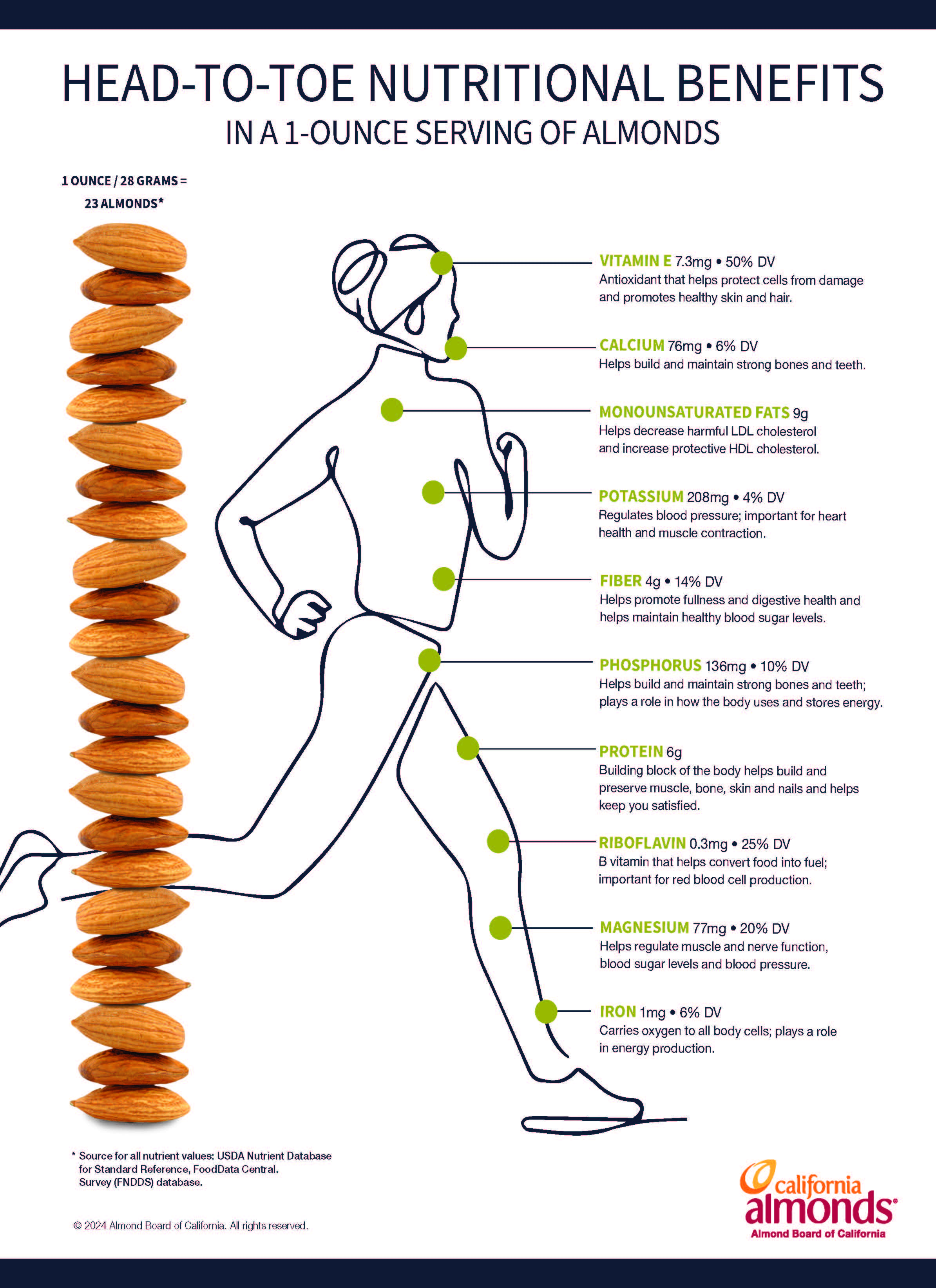 Head to toe almond nutrition infographic