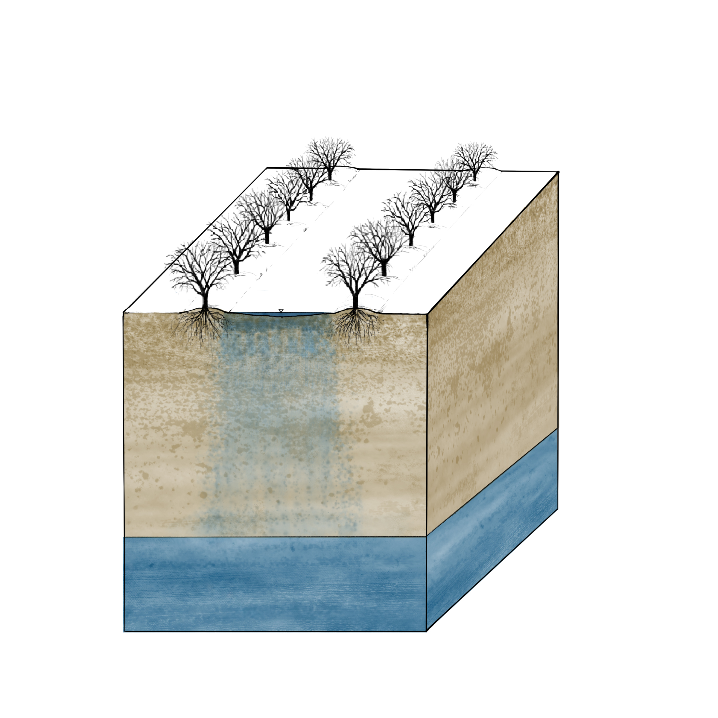 Groundwater Recharge